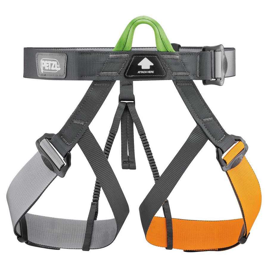 PETZL - GYM HARNESS - Outdoor eStore Australia - outdoorestore.com.au